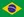 Português do Brasil